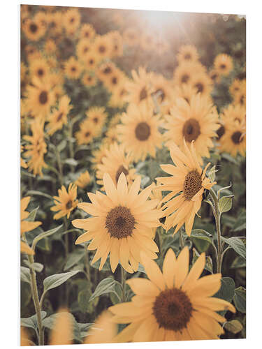 Tableau en PVC Sunflower Field