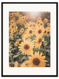 Gerahmter Kunstdruck Sonnenblumenfeld