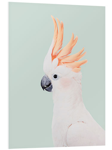 Foam board print Cockatoo