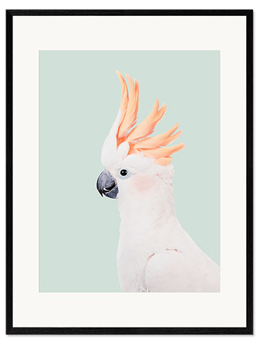 Stampa artistica con cornice Cockatoo