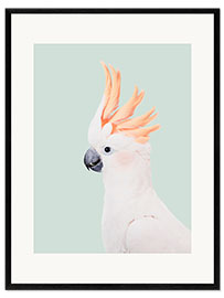 Stampa artistica con cornice Cockatoo
