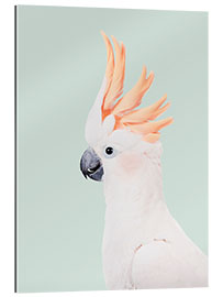 Tableau en plexi-alu Cockatoo