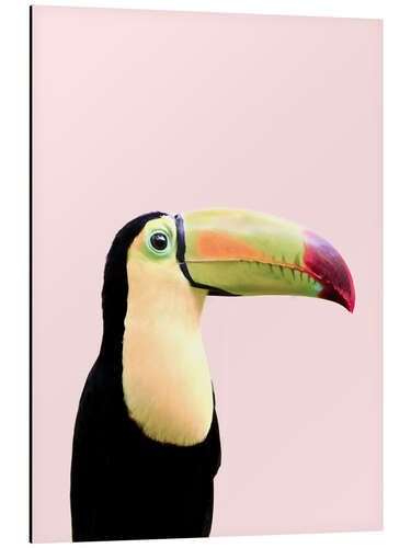 Tableau en aluminium Pastel Toucan