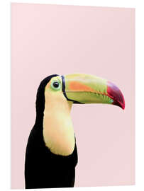 Foam board print Pastel Toucan