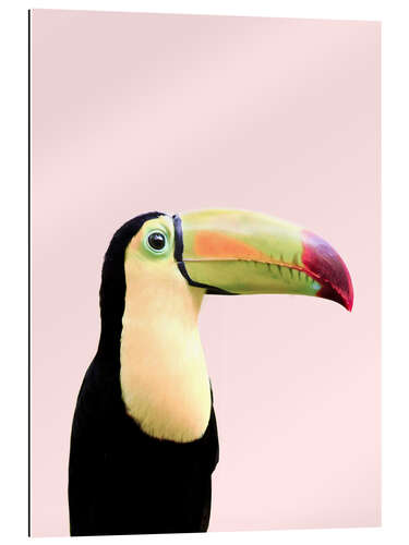 Galleritryk Pastel Toucan