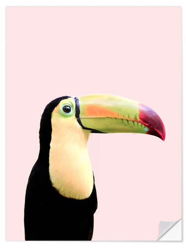 Selvklæbende plakat Pastel Toucan