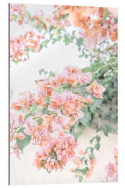 Gallery print Spanish Flowers