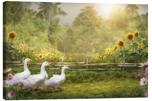 Canvastavla Goose March