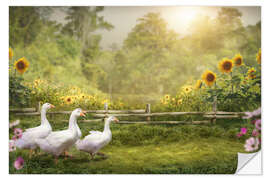 Autocolante decorativo Goose March