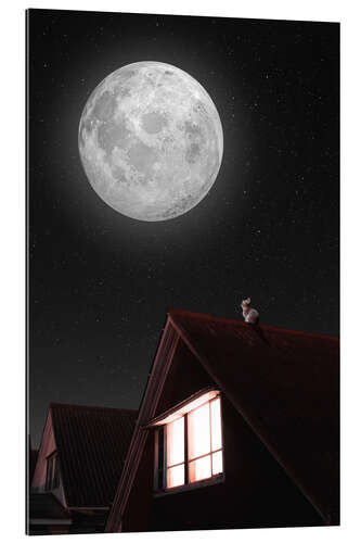 Galleriprint Kitten Looks at the Giant Moon