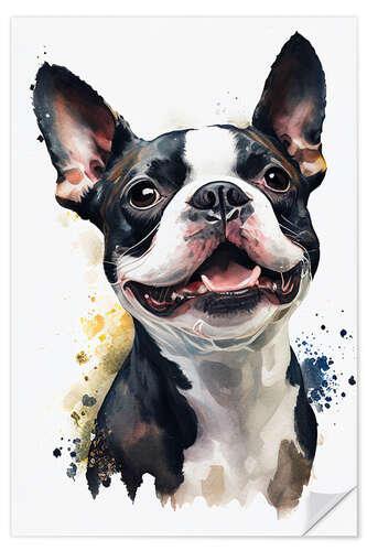 Selvklebende plakat Boston Terrier Portrait in Watercolor