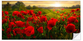 Sticker mural Poppy Field at Sunset