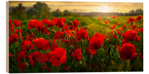 Wood print Poppy Field at Sunset