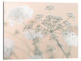 Aluminiumtavla Cow Parsley