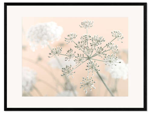 Kunsttryk i ramme Cow Parsley