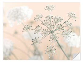 Wall sticker Cow Parsley