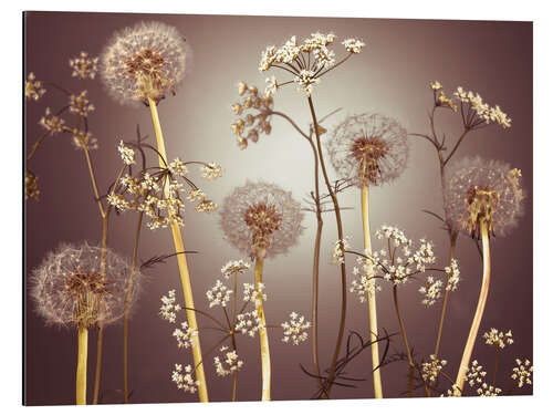 Aluminium print Meadow Flowers