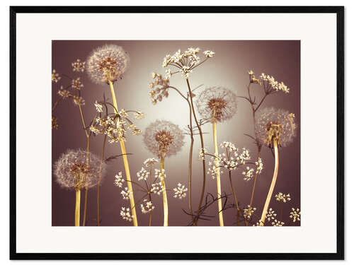 Framed art print Meadow Flowers