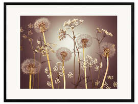 Framed art print Meadow Flowers