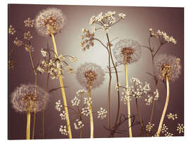 Magnettafel Wiesenblumen