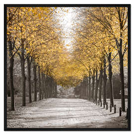 Gerahmter Kunstdruck Goldene Allee