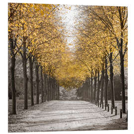 PVC print Golden Avenue