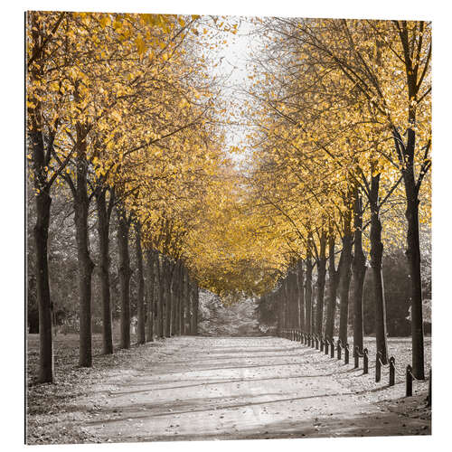 Tableau en plexi-alu Golden Avenue