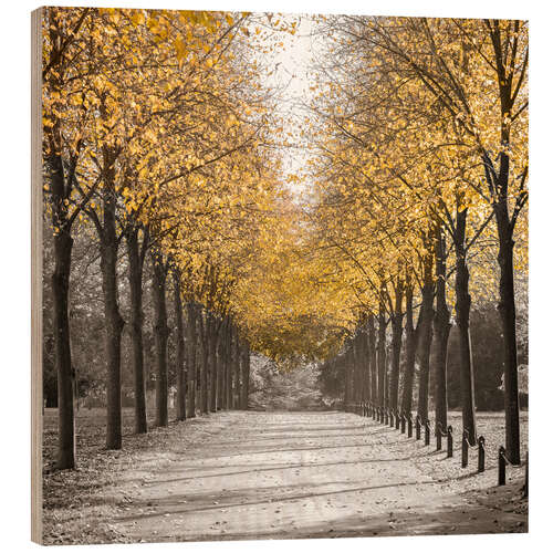 Trebilde Golden Avenue