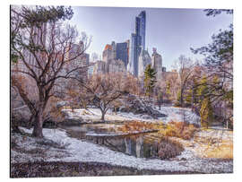 Aluminium print Central Park in Winter