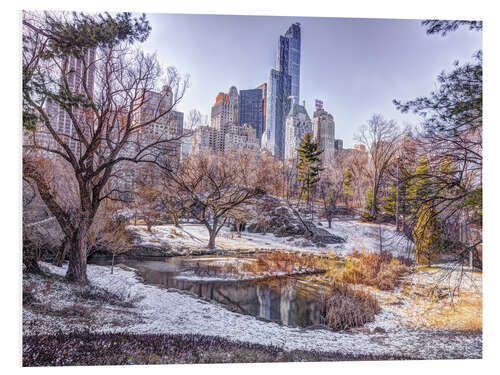 Tableau en PVC Central Park in Winter