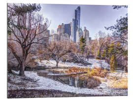 Gallery print Central Park in Winter