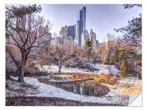 Selvklebende plakat Central Park in Winter