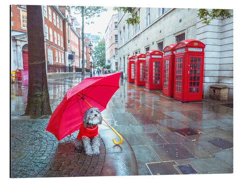 Tableau en aluminium Dog with Umbrella in London