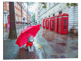 Tableau en aluminium Dog with Umbrella in London