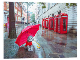 Tableau en PVC Dog with Umbrella in London