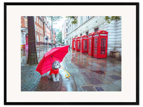 Framed art print Dog with Umbrella in London