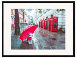 Ingelijste kunstdruk Dog with Umbrella in London