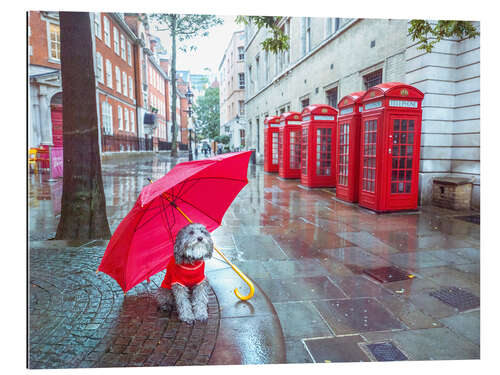 Galleritryck Dog with Umbrella in London