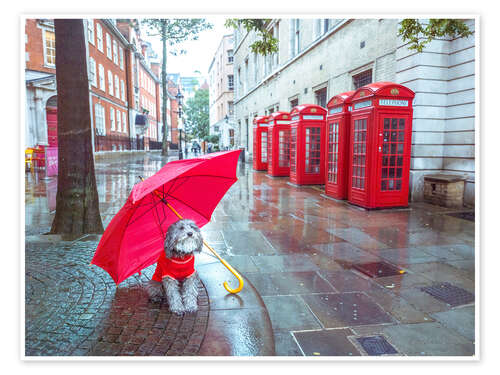 Poster Hund mit Regenschirm in London