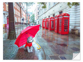 Selvklebende plakat Dog with Umbrella in London