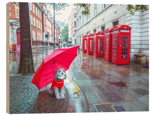 Puutaulu Dog with Umbrella in London