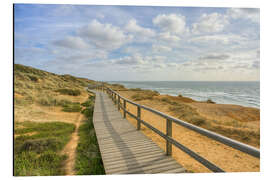 Aluminium print Path on the Red Cliff in Kampen