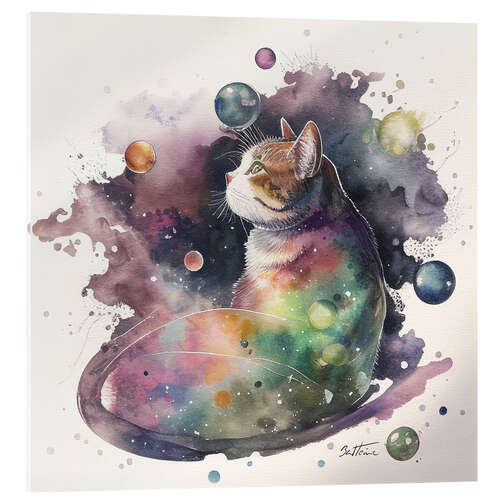 Acrylglas print Space Cat