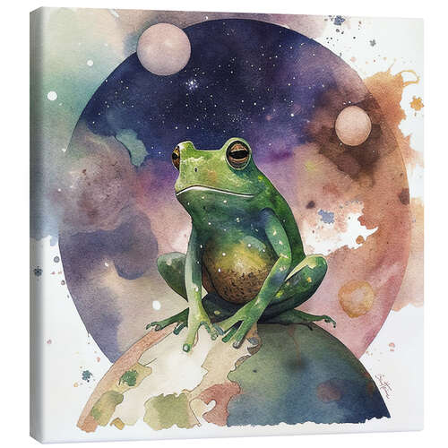 Leinwandbild Space Frog