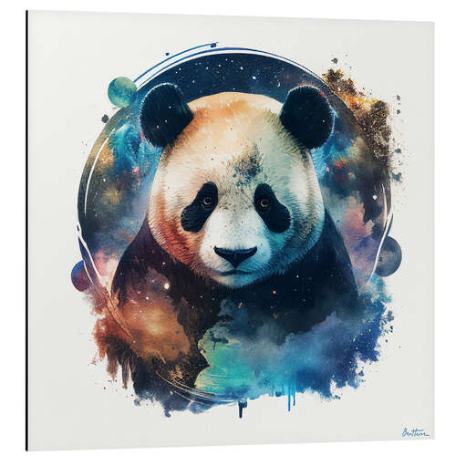 Alumiinitaulu Space Panda