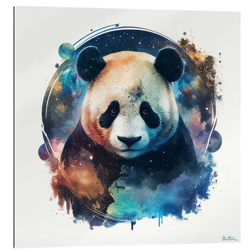 Quadro em plexi-alumínio Space Panda