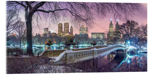 Tableau en verre acrylique Manhattan Skyline from Central Park