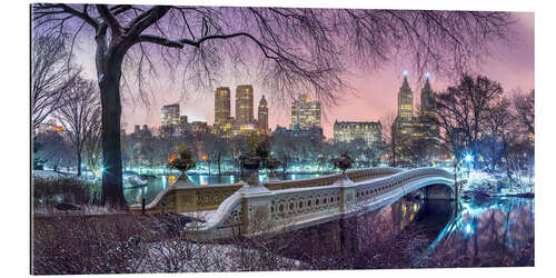 Gallery print Manhattan Skyline from Central Park