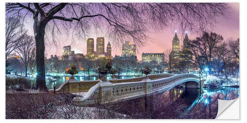 Wall sticker Manhattan Skyline from Central Park