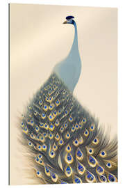 Gallery print Japanese Peacock II